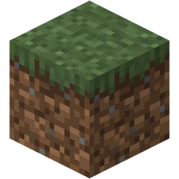 Plan Grass